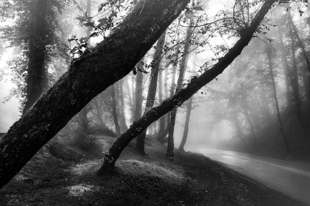 Photograph by Mahyar Kantoori