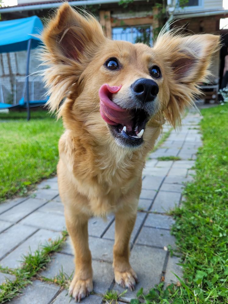 Photograph by Валерия Гуртовая