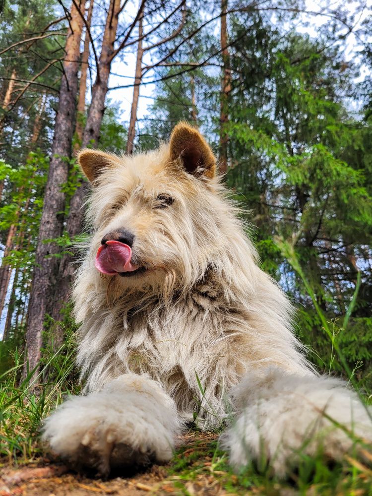 Photograph by Валерия Гуртовая