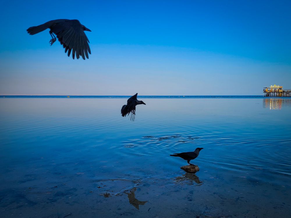 Photograph by Валерия Гуртовая