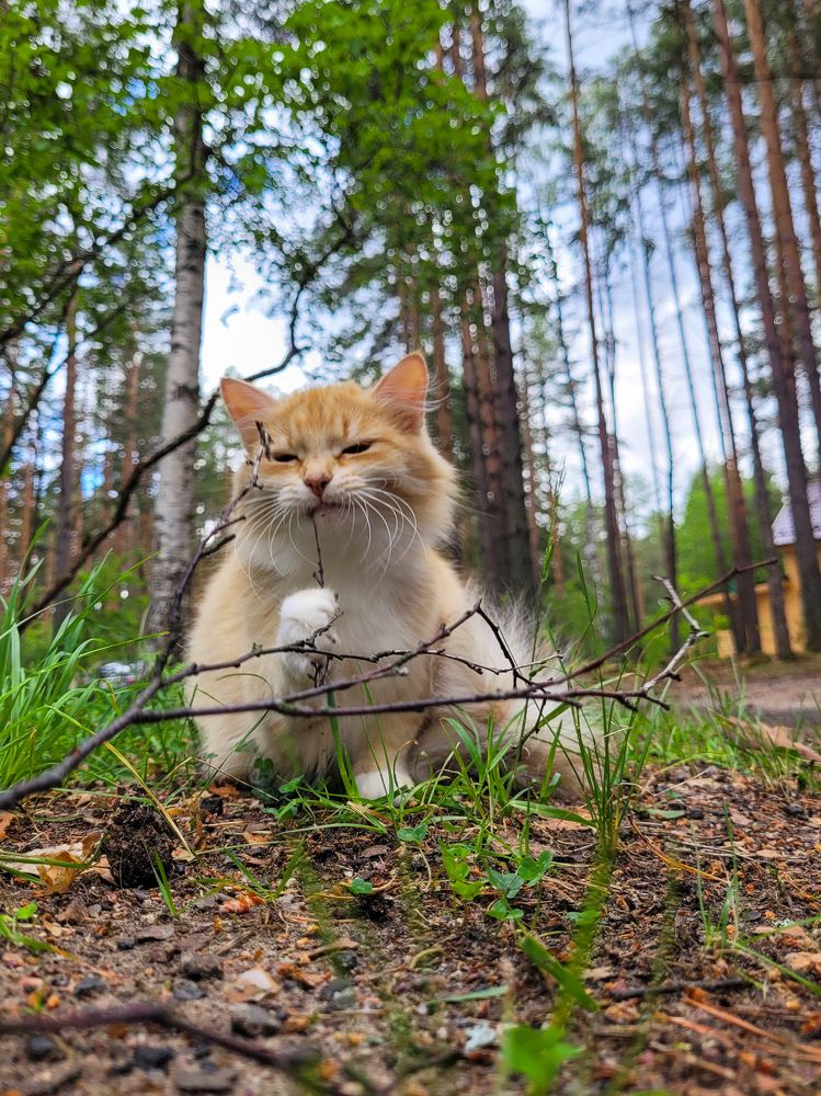 Photograph by Валерия Гуртовая