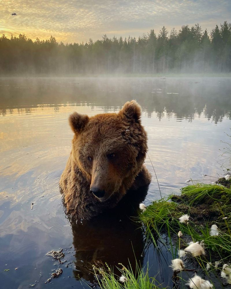 Photograph by Alexandra Surkova