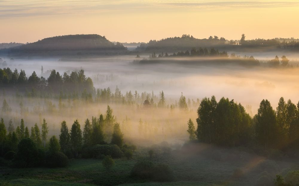 Photograph by Roman Dmitriev