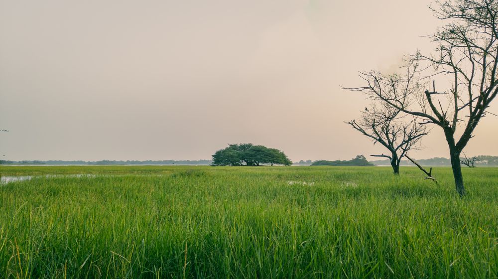 Photograph by Dhruv Mistry