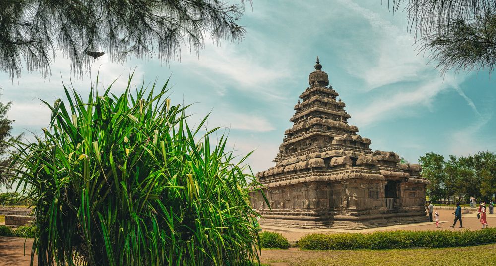 Photograph by PRABAGARAN V