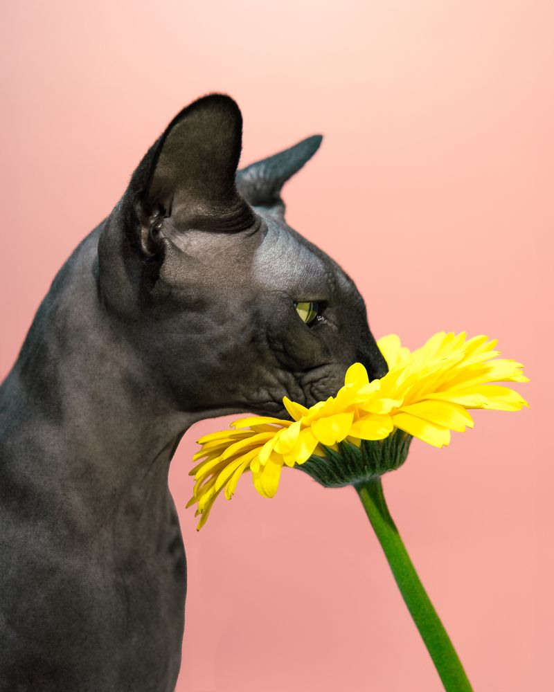 Photograph by Анастасия Черкасова