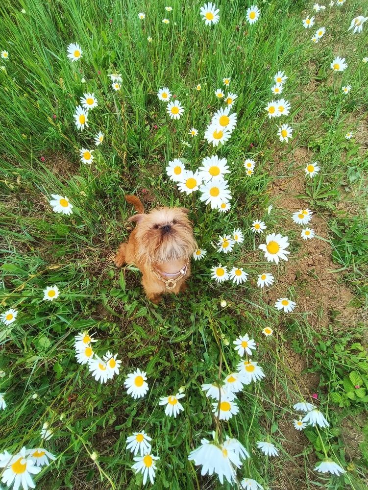 Photograph by Ирина Корх