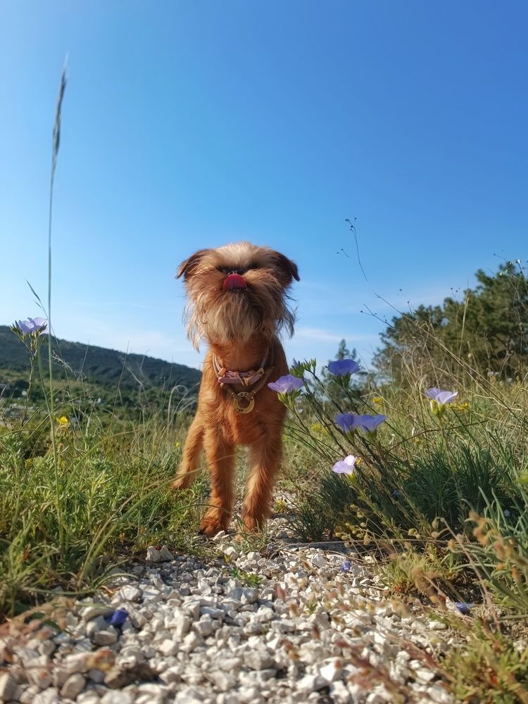 Photograph by Ирина Корх