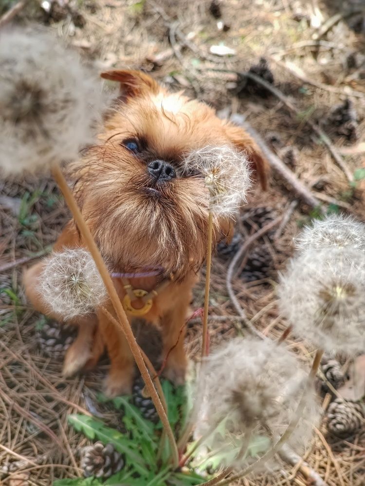 Photograph by Ирина Корх