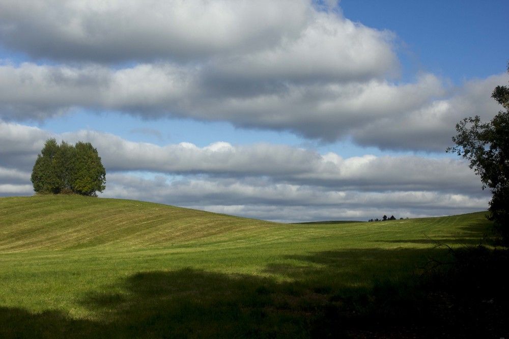 Фотография автора Александр Собокарь