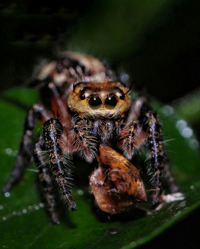 Photograph by George S George