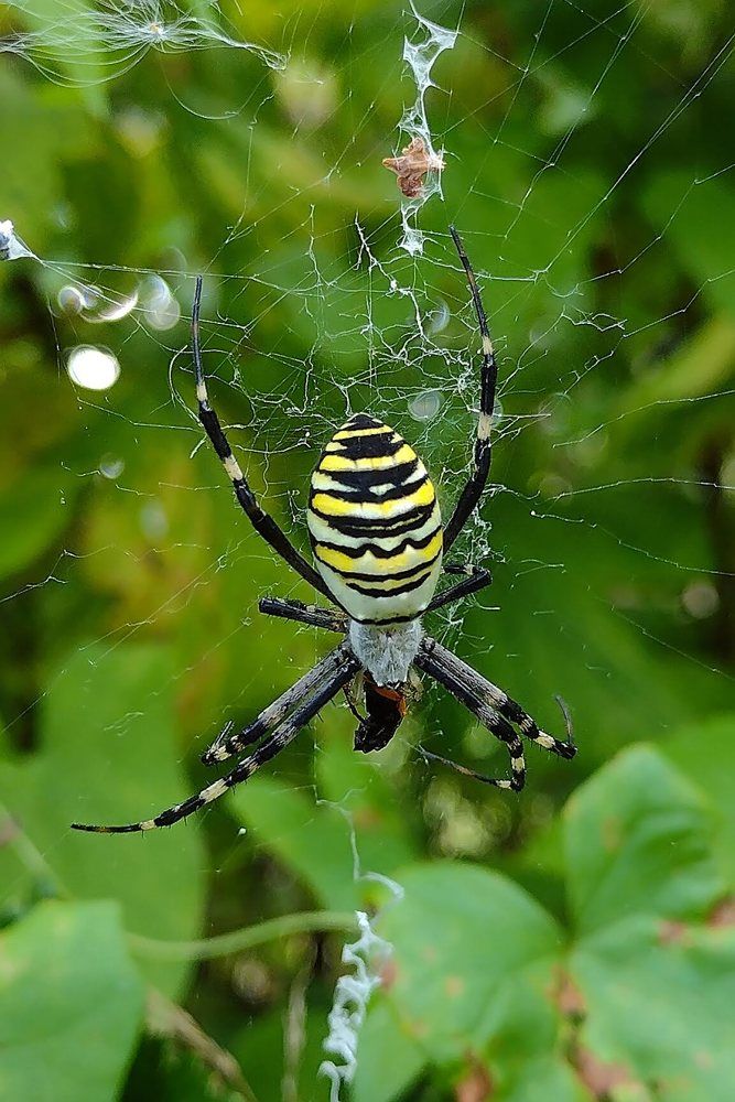 Photograph by Евгений Беленков