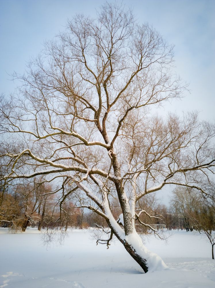 Photograph by Юрий Катков