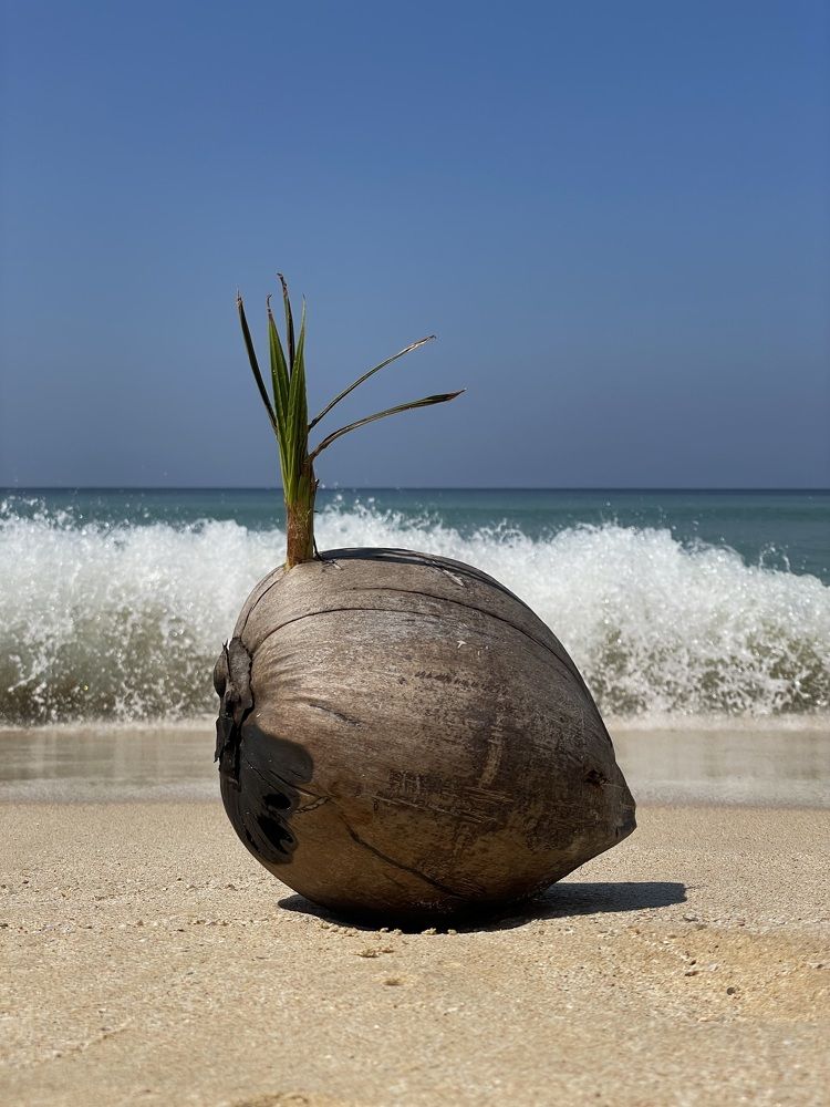 Photograph by Татьяна