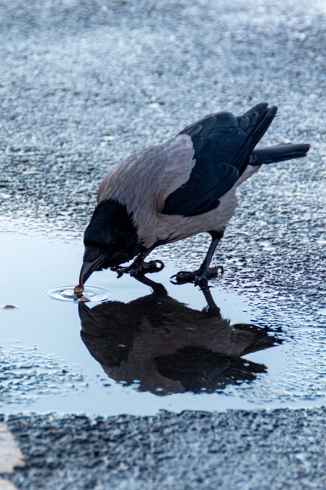 Photograph by Мария Громова