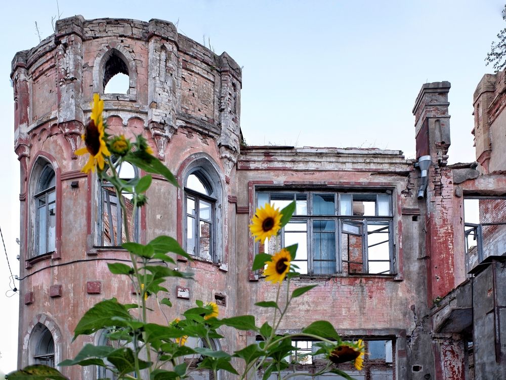 Photograph by Зорин Миша