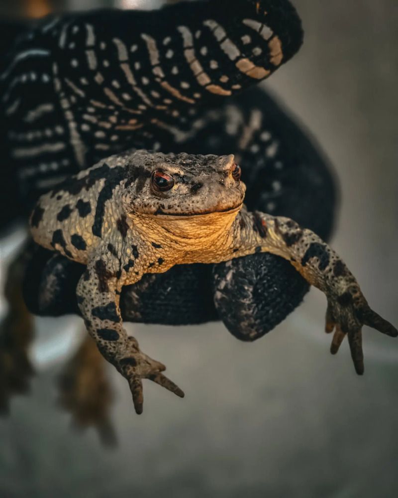 Photograph by Наталья Чередниченко