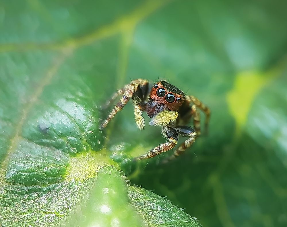 Photograph by Sandipan Mukherjee