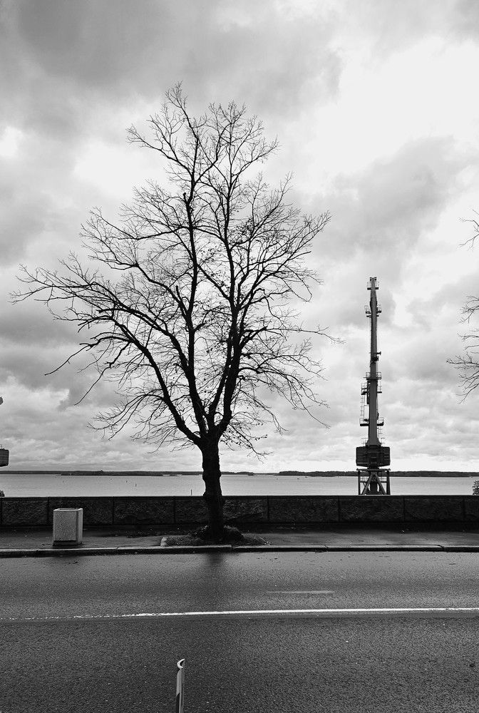 Photograph by Анастасия Свиридова