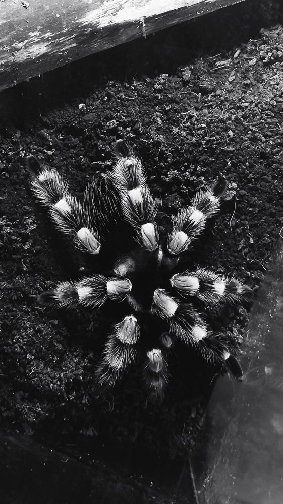 Photograph by Елена Кадаева