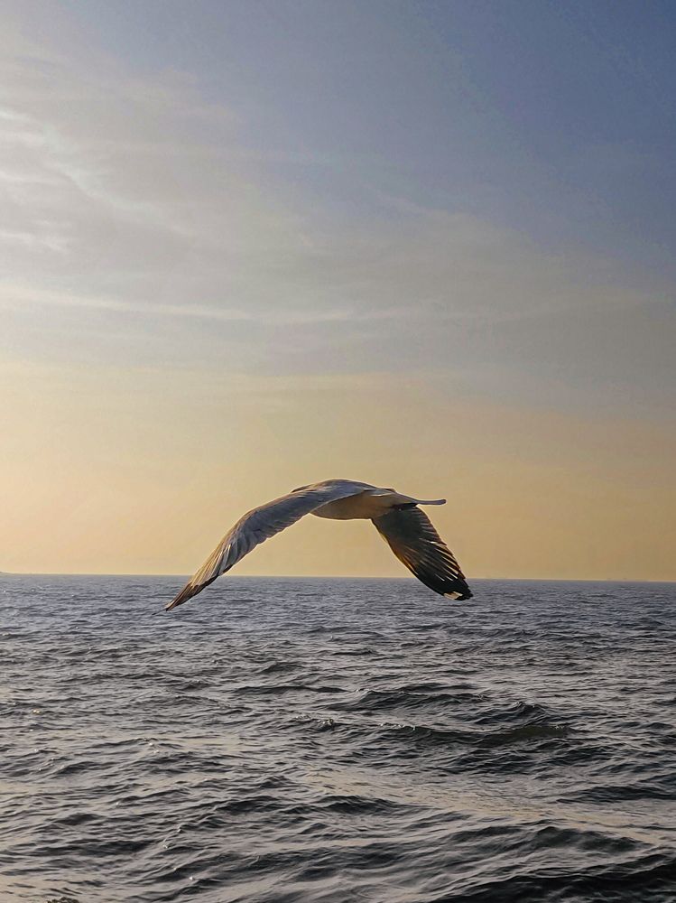 Photograph by Sanket Tambe