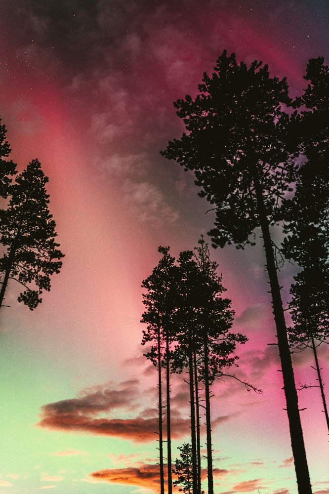 Photograph by Ольга Леонова