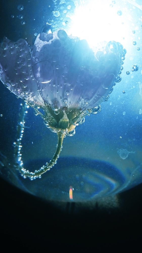 Photograph by Ольга Рыкова