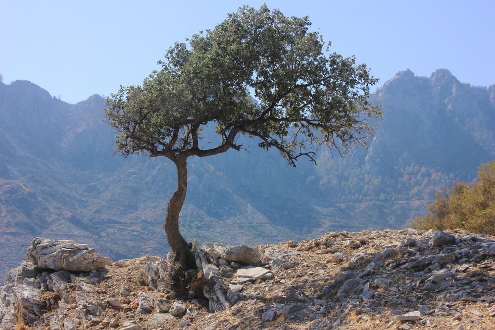 Photograph by alikan Evcil