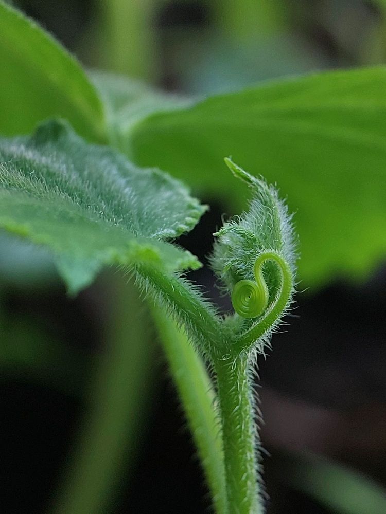 Photograph by Ольга Кирьянова