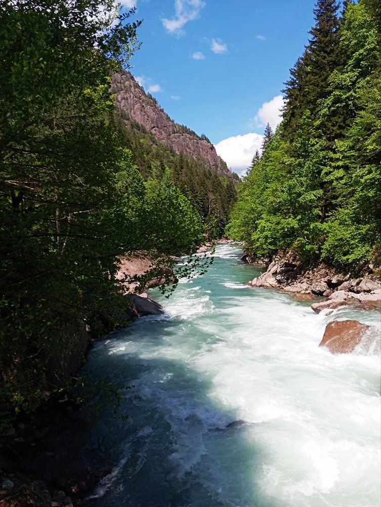 Photograph by Светлана Лукошкина