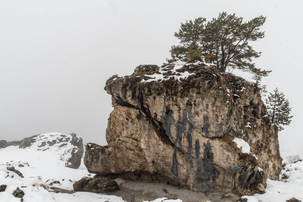 Photograph by Татьяна