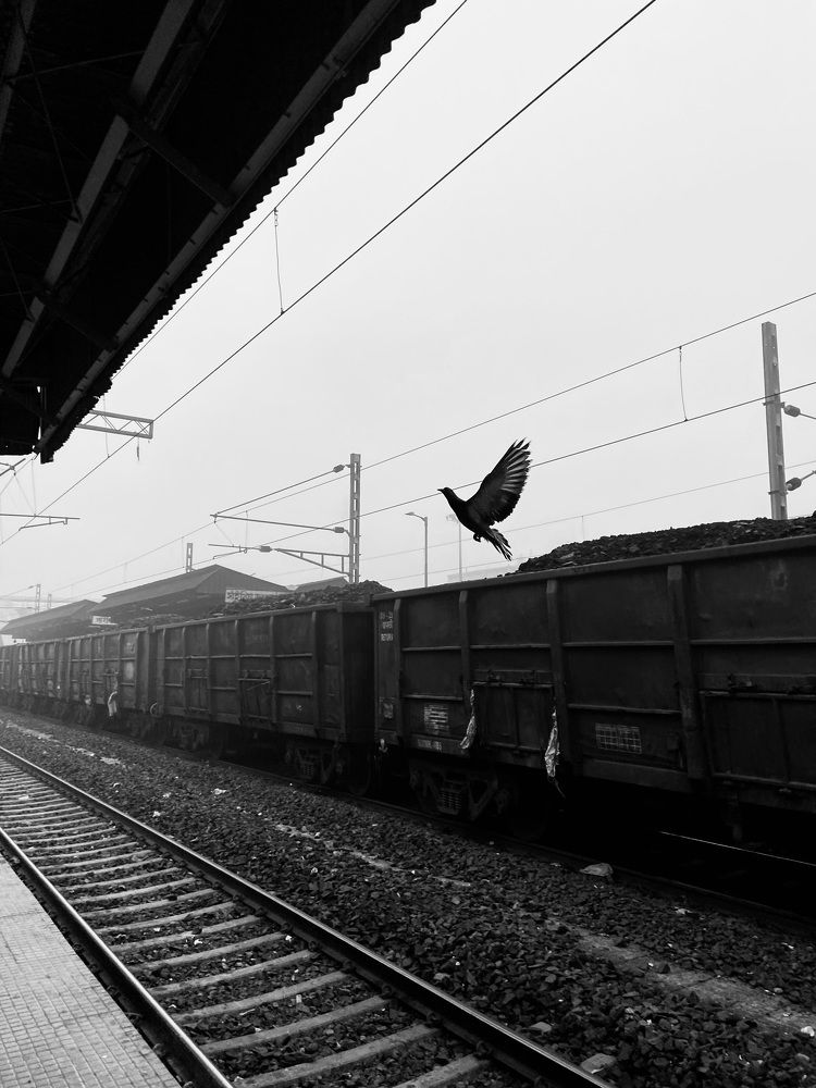 Photograph by DEBRAJ PURKAYASTHA