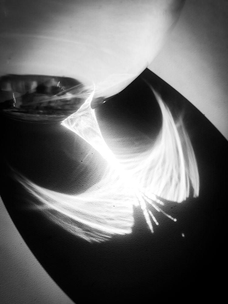 Голубь Мира