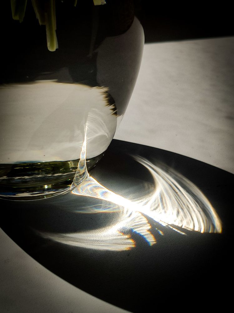 Голубь Мира