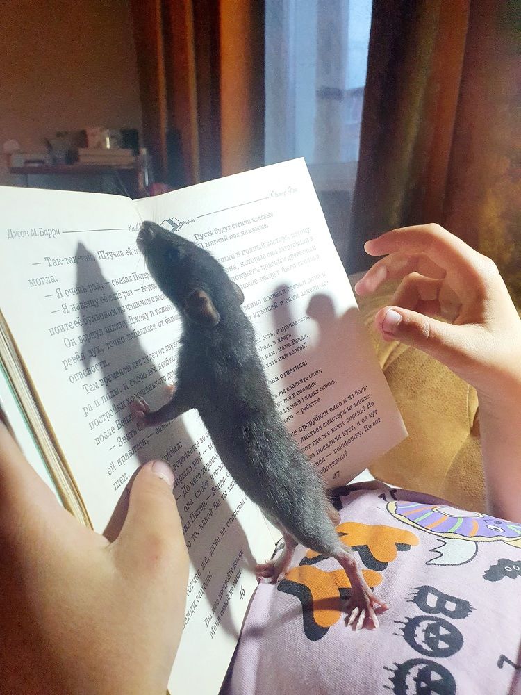 Photograph by Валерия Столбова