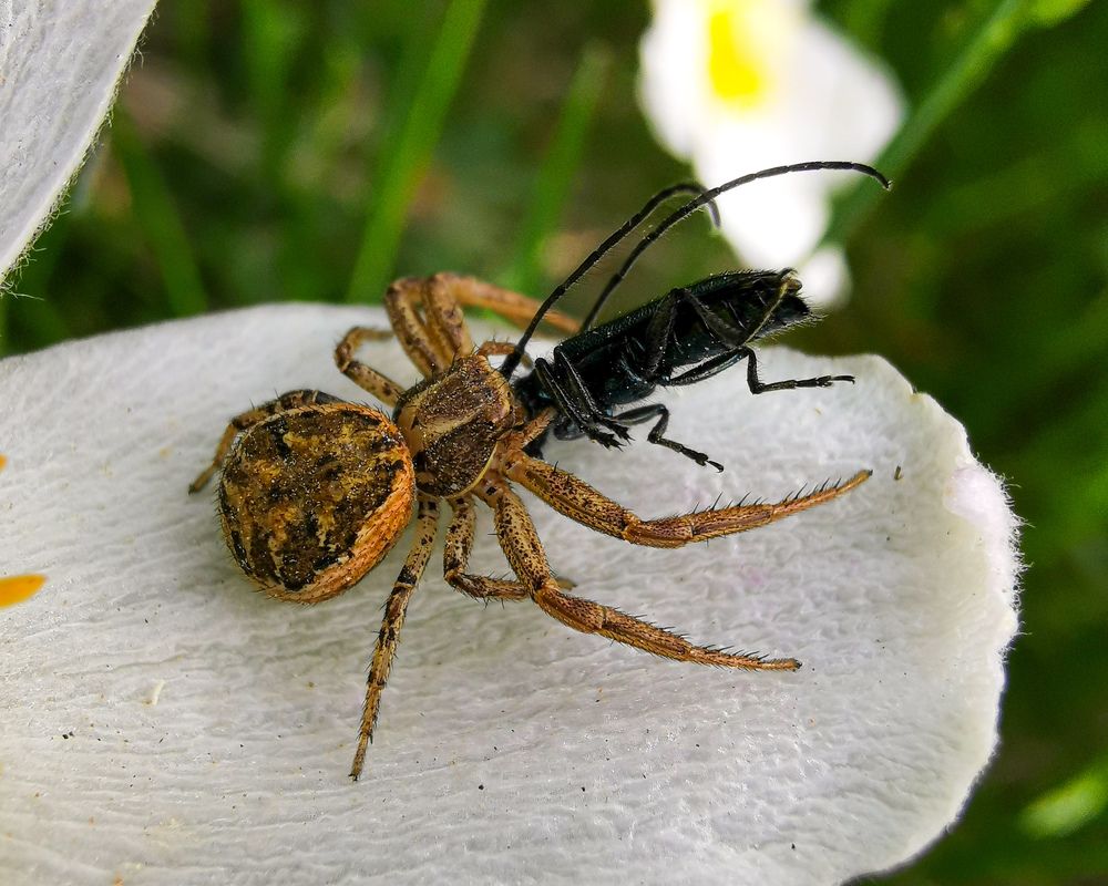 Фотография автора Дмитрий