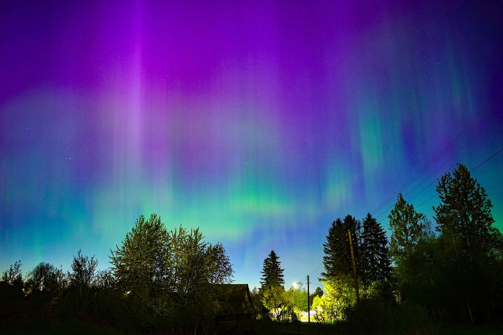 Photograph by Татьяна Шандромайло