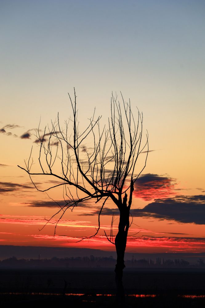 Photograph by Сергей Конюшенко