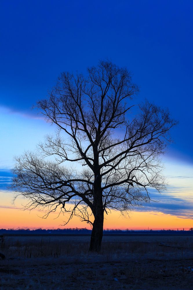 Photograph by Сергей Конюшенко