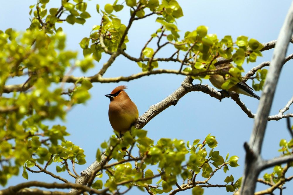 Фотография автора Elliot