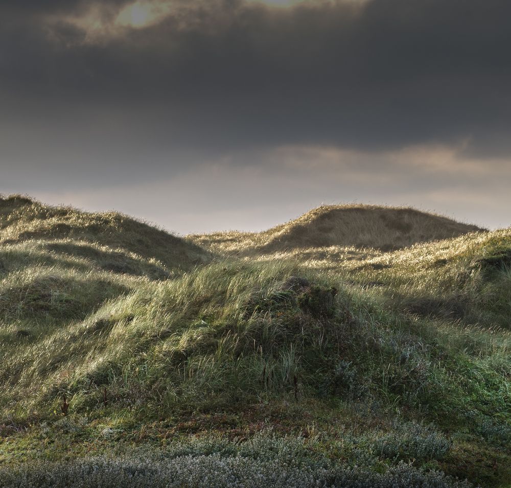 Photograph by Torben Stæhr