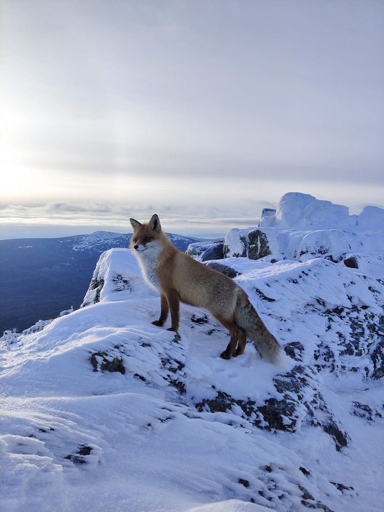 Photograph by Олег Васильев