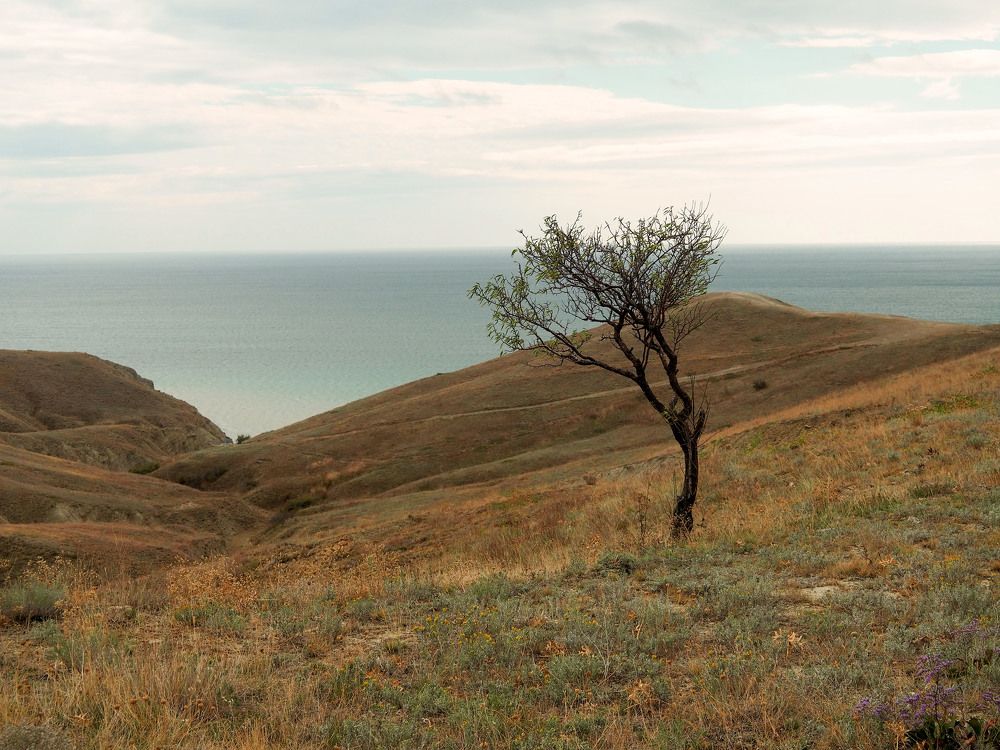 Photograph by Mari Kon