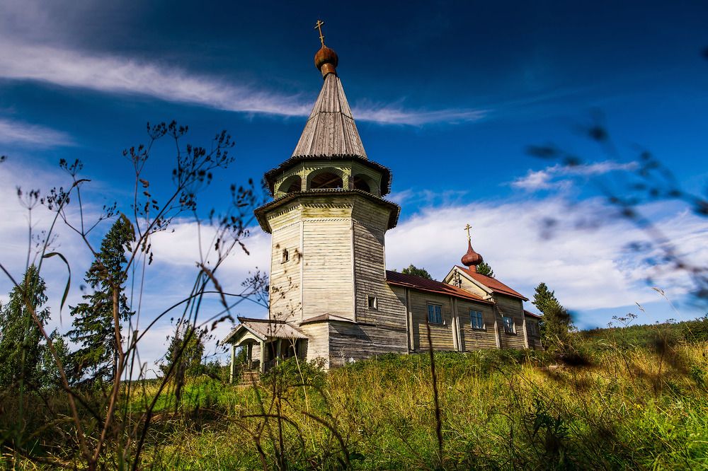 Фотография автора Totoro D