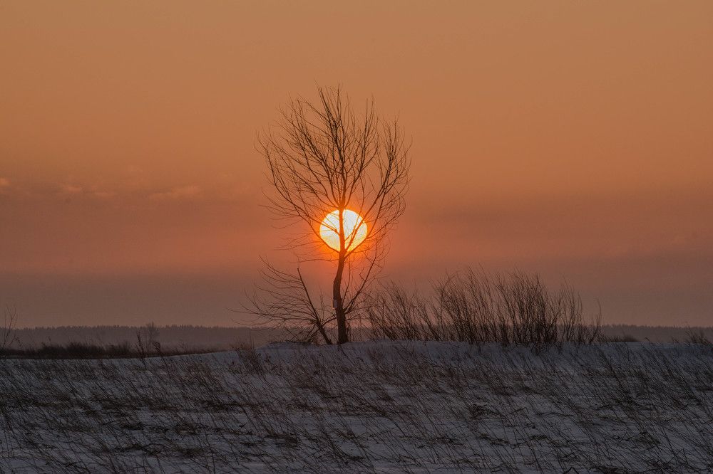 Photograph by Ростислав