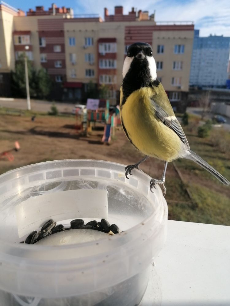 Photograph by Светлана Стрельцова