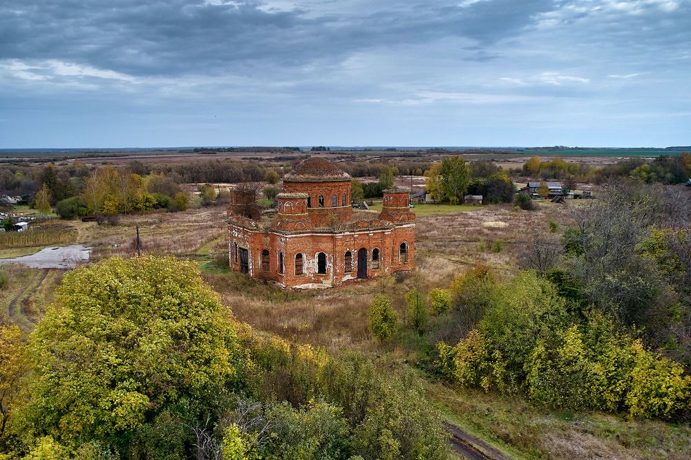 Фотография автора Totoro D