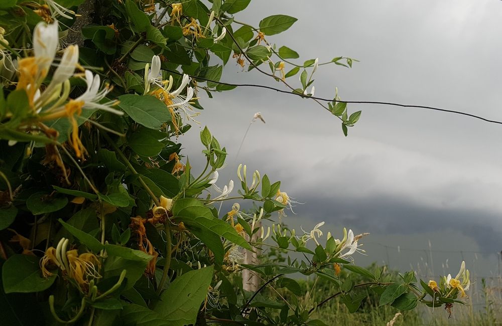 Photograph by Marijana Dragosavljevic