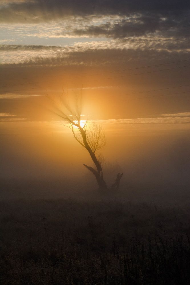 Photograph by Ростислав