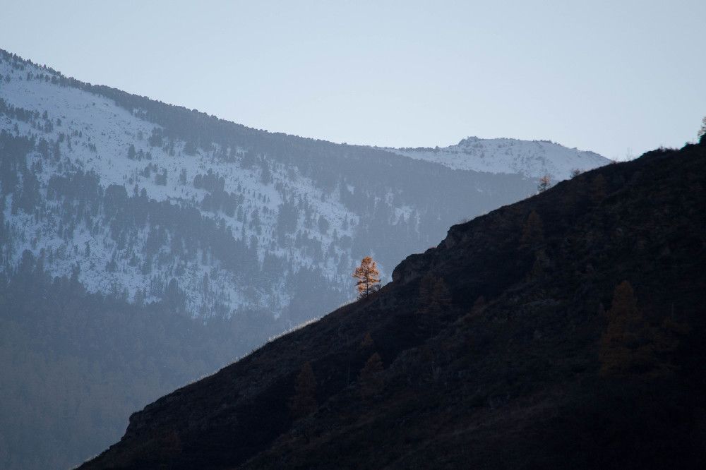 Photograph by Ростислав